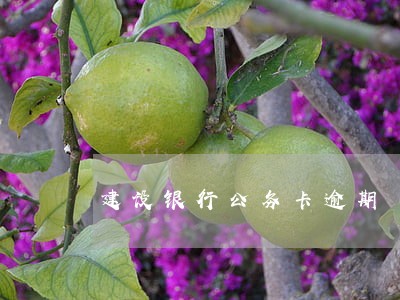 建设银行公务卡逾期 建设银行公务卡逾期