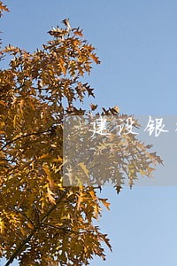 建设银行公务卡逾期多久影响征信