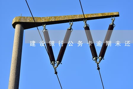 建设银行公务卡逾期未还款 建设银行公务卡逾期未还款