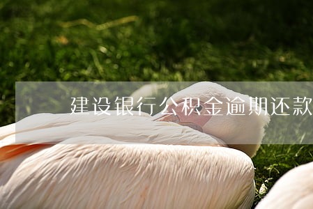 建设银行公积金逾期还款 建设银行公积金逾期还款