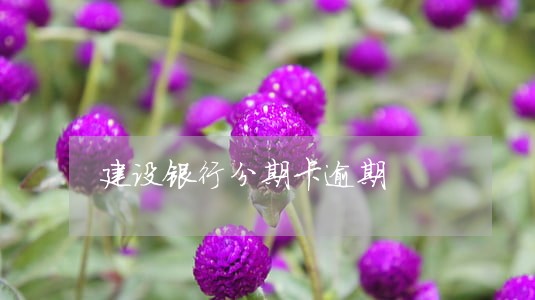 建设银行分期卡逾期 建设银行分期卡逾期