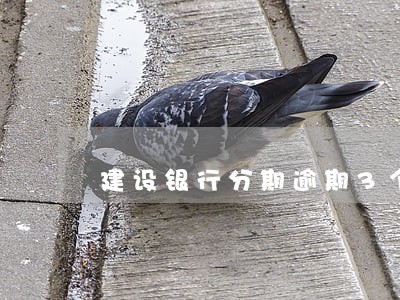 建设银行分期逾期3个月 建设银行分期逾期3个月