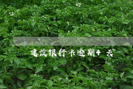 建设银行卡逾期4天