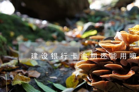 建设银行卡逾期还能用嘛 建设银行卡逾期还能用嘛