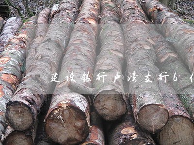 建设银行卢湾支行6亿贷款逾期 建设银行卢湾支行6亿贷款逾期