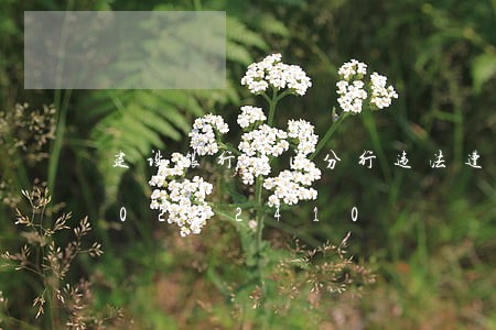 建设银行厦门分行违法遭罚/2023020232410 建设银行厦门分行违法遭罚/2023020232410