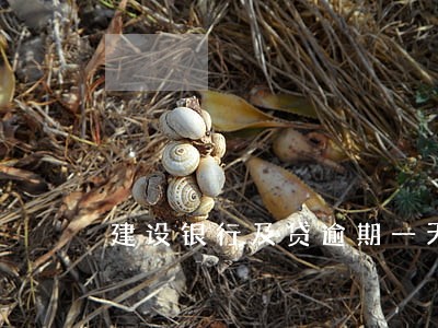 建设银行及贷逾期一天多少利息