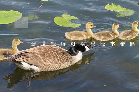 建设银行可以只还本金吗 建设银行可以只还本金吗