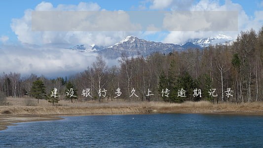 建设银行多久上传逾期记录 建设银行多久上传逾期记录