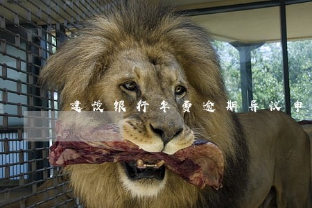 建设银行年费逾期异议申请成功 建设银行年费逾期异议申请成功
