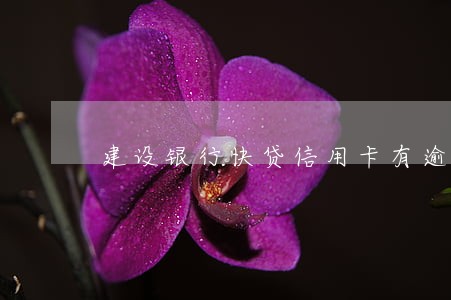 建设银行快贷信用卡有逾期 建设银行快贷信用卡有逾期