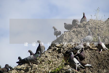 建设银行快贷可以逾期多久 建设银行快贷可以逾期多久