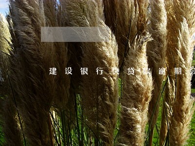 建设银行快贷款逾期会怎样 建设银行快贷款逾期会怎样