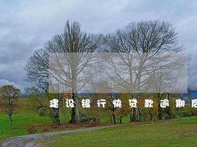 建设银行快贷款逾期后果 建设银行快贷款逾期后果