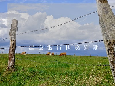 建设银行快贷逾期一个月 建设银行快贷逾期一个月