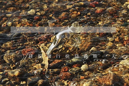 建设银行快贷逾期一天 建设银行快贷逾期一天