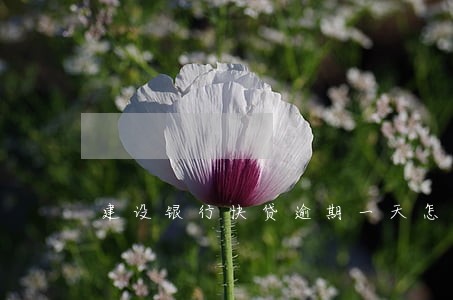 建设银行快贷逾期一天怎么办 建设银行快贷逾期一天怎么办