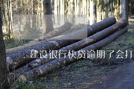 建设银行快贷逾期了会打电话吗