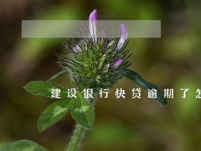 建设银行快贷逾期了怎么申请 建设银行快贷逾期了怎么申请