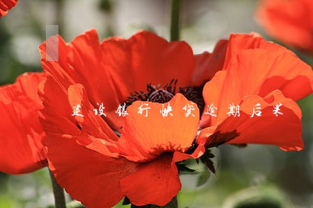 建设银行快贷逾期后果 建设银行快贷逾期后果