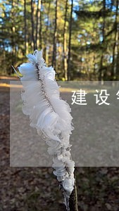 建设银行快贷逾期能否罚息 建设银行快贷逾期能否罚息