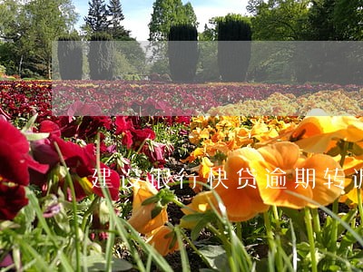 建设银行快贷逾期转诉讼组 建设银行快贷逾期转诉讼组