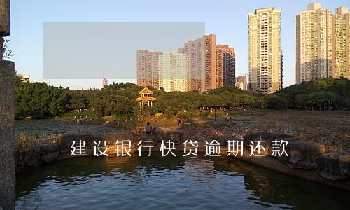 建设银行快贷逾期还款 建设银行快贷逾期还款