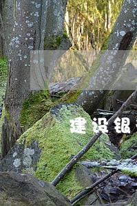 建设银行怎么查逾期 建设银行怎么查逾期