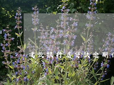 建设银行房贷款逾期信誉处罚 建设银行房贷款逾期信誉处罚