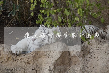 建设银行房贷累计逾期 建设银行房贷累计逾期