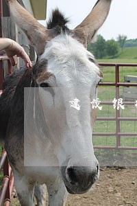 建设银行房贷还款日几天算逾期