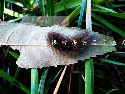 建设银行房贷迟了逾期怎么算 建设银行房贷迟了逾期怎么算