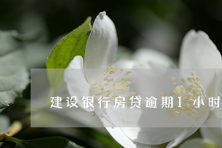 建设银行房贷逾期1小时 建设银行房贷逾期1小时