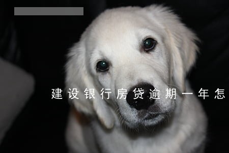 建设银行房贷逾期一年怎么办 建设银行房贷逾期一年怎么办