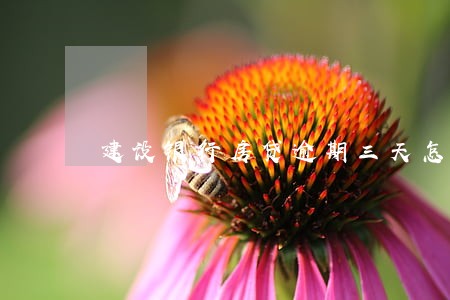 建设银行房贷逾期三天怎么办 建设银行房贷逾期三天怎么办