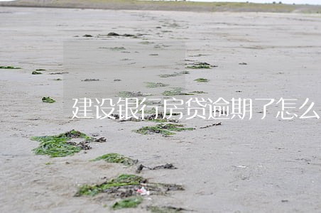 建设银行房贷逾期了怎么主动还款 建设银行房贷逾期了怎么主动还款