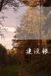 建设银行房贷逾期影响征信 建设银行房贷逾期影响征信