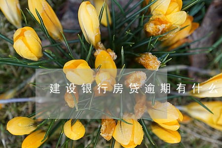 建设银行房贷逾期有什么影响 建设银行房贷逾期有什么影响