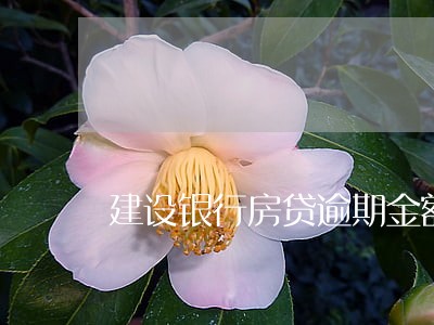 建设银行房贷逾期金额 建设银行房贷逾期金额
