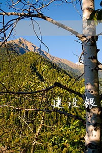 建设银行摘要显示扣款
