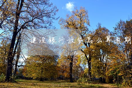 建设银行放贷怎么算逾期 建设银行放贷怎么算逾期