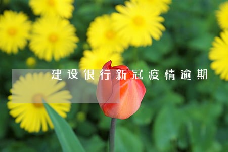 建设银行新冠疫情逾期 建设银行新冠疫情逾期