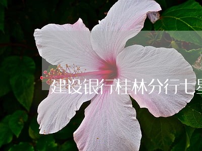 建设银行桂林分行七星法院家属