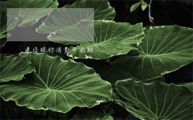 建设银行消费卡逾期