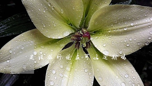 建设银行现在可以逾期吗