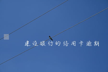 建设银行的信用卡逾期