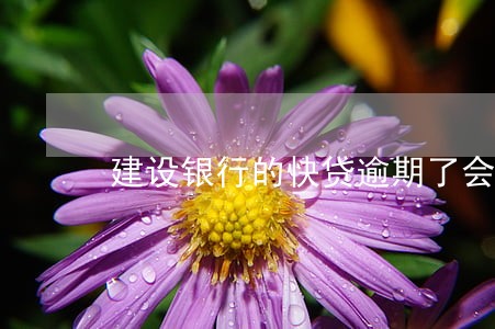 建设银行的快贷逾期了会怎么样 建设银行的快贷逾期了会怎么样