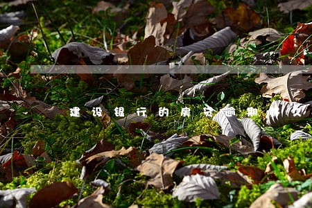 建设银行的房贷逾期好久 建设银行的房贷逾期好久