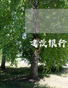 建设银行短信提醒我逾期 建设银行短信提醒我逾期