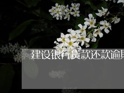 建设银行贷款还款逾期 建设银行贷款还款逾期